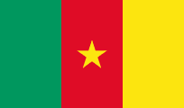 National Aviation Authority Of Cameroon